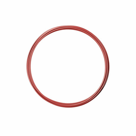 Buy RPM Training Coated Steel Cable (2 mm) Red at HighPowered.ch