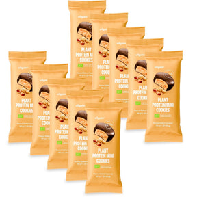 BIO Plant Protein Mini Cookies Erdnüsse mit Salzkaramell / 10 x 50 g kaufen -  Vilgain Protein Cookie  - Fitness Onlineshop