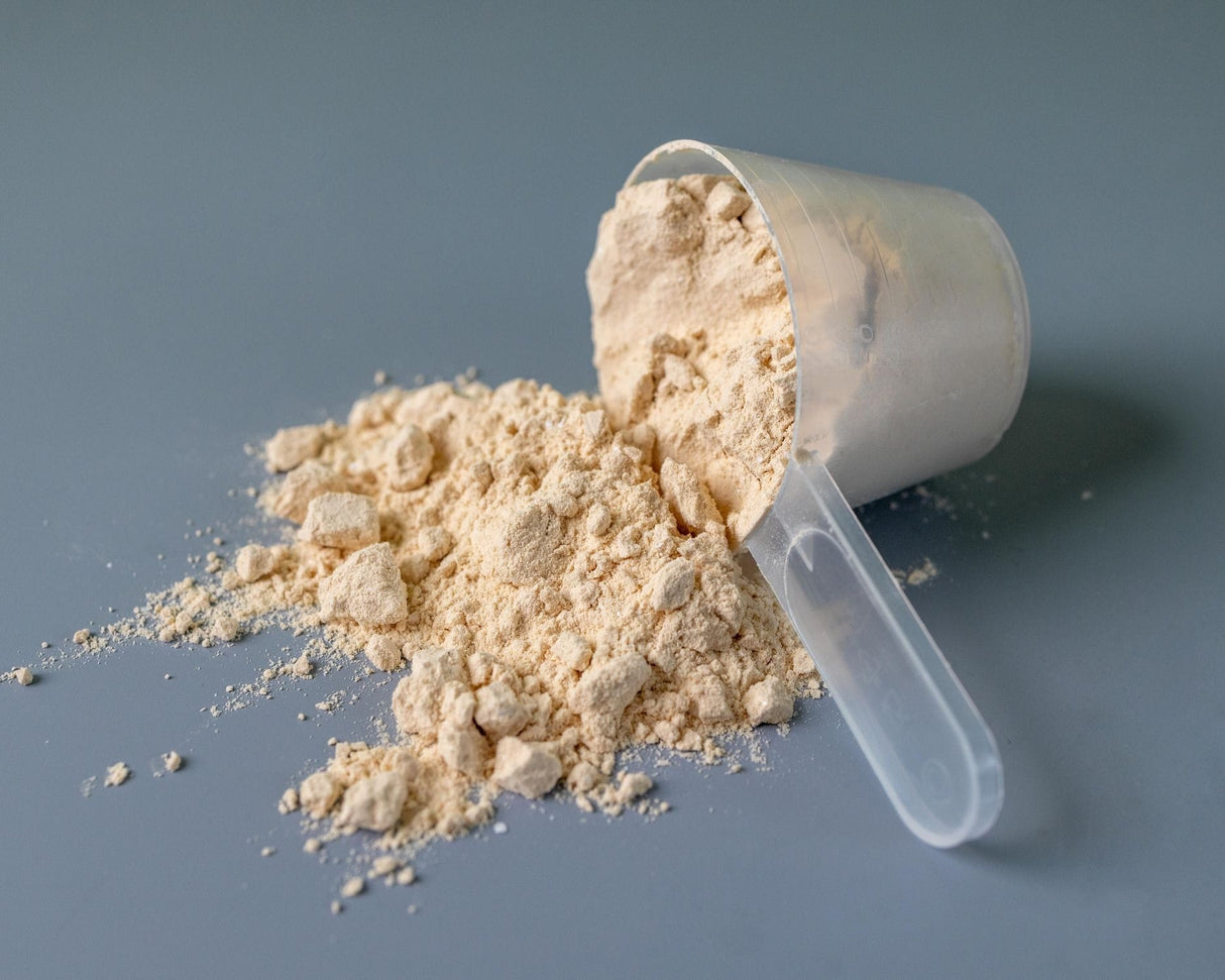 Pflanzliches Protein kaufen -  Vilgain Veganes Proteinpulver  - Fitness Onlineshop