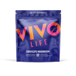 Cordyceps Pulver (10:1 Extrakt) 60 g kaufen -  Vivo Life Pilz-Supplements  - Fitness Onlineshop