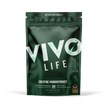 Creatine Monohydrat 252 g kaufen -  Vivo Life Kreatin  - Fitness Onlineshop