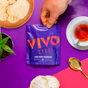 Lion's Mane Pulver (8:1 Extrakt) 60 g kaufen -  Vivo Life Pilz-Supplements  - Fitness Onlineshop