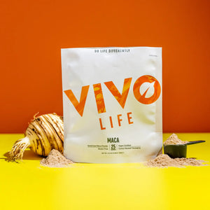 Maca Pulver (gelatinisiert) 125 g kaufen -  Vivo Life Adaptogene  - Fitness Onlineshop